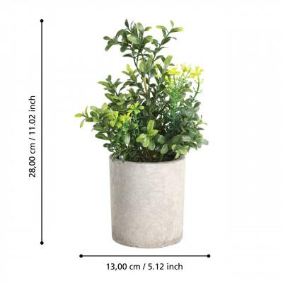 Plantas CHITOSE Plantas CHITOSE