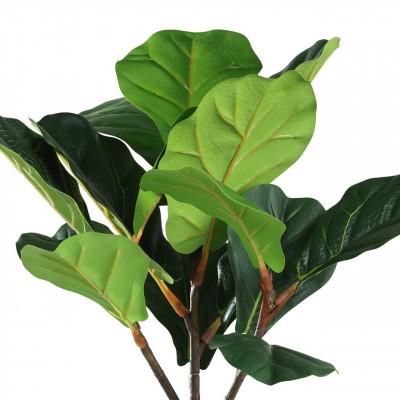 Plantas YUBETSU Plantas YUBETSU