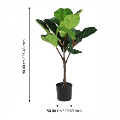 Plantas YUBETSU Plantas YUBETSU