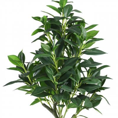 Plantas YUBETSU Plantas YUBETSU
