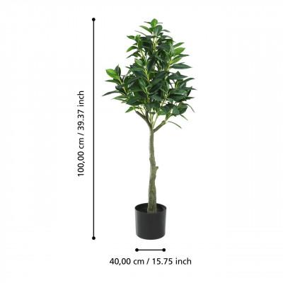 Plantas YUBETSU Plantas YUBETSU