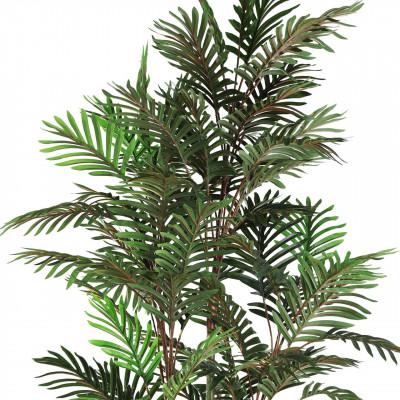 Plantas YUBETSU Plantas YUBETSU