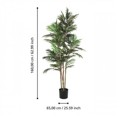 Plantas YUBETSU Plantas YUBETSU