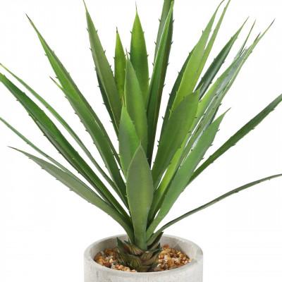 Plantas TOBETSU Plantas TOBETSU