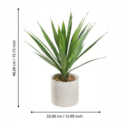Plantas TOBETSU Plantas TOBETSU