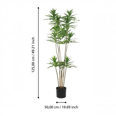 Plantas YUBETSU Plantas YUBETSU