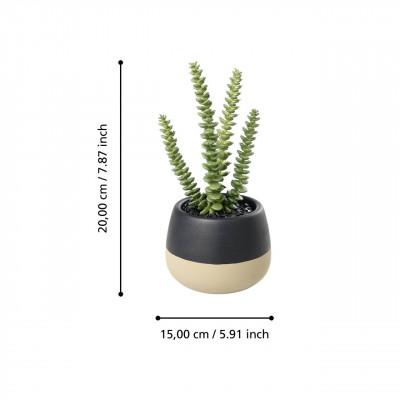DECOEGLO YULARA