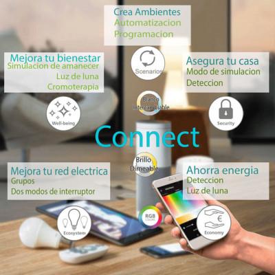 97691 Ambiente