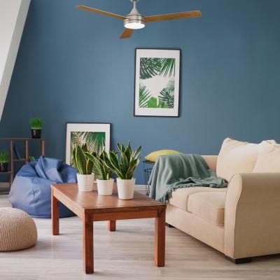 35081 Ambiente