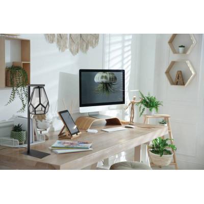 43646 Ambiente