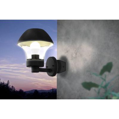 88153 Ambiente